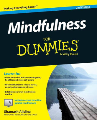 Mindfulness For Dummies By Shamash Alidina, Paperback | Barnes & Noble®