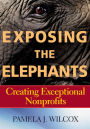 Exposing the Elephants: Creating Exceptional Nonprofits / Edition 1
