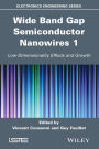 Wide Band Gap Semiconductor Nanowires 1: Low-Dimensionality Effects and Growth
