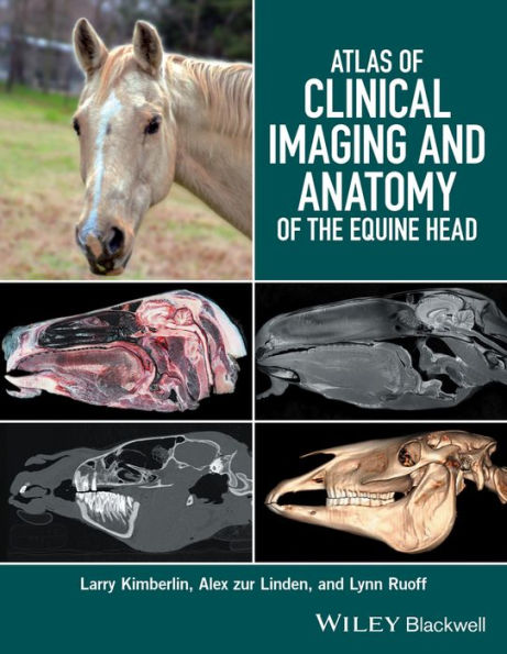 Atlas of Clinical Imaging and Anatomy of the Equine Head / Edition 1