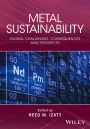 Metal Sustainability: Global Challenges, Consequences, and Prospects