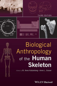 Title: Biological Anthropology of the Human Skeleton / Edition 3, Author: M. Anne Katzenberg