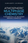 Atmospheric Multiphase Chemistry: Fundamentals of Secondary Aerosol Formation / Edition 1