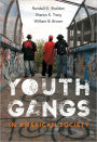 Youth Gangs in American Society / Edition 4