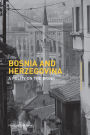 Bosnia and Herzegovina: A Polity on the Brink
