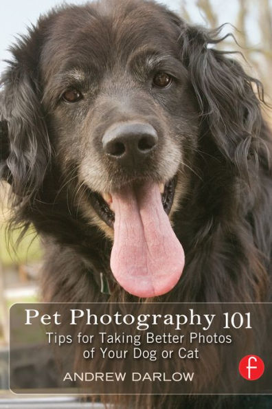 Pet Photography 101: Tips for taking better photos of your dog or cat