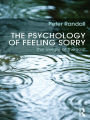 The Psychology of Feeling Sorry: The Weight of the Soul