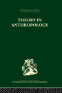 Theory in Anthropology