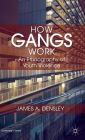 How Gangs Work: An Ethnography of Youth Violence