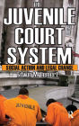 The Juvenile Court System: Social Action and Legal Change