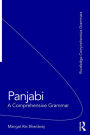 Panjabi: A Comprehensive Grammar / Edition 1