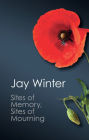 Sites of Memory, Sites of Mourning: The Great War in European Cultural History