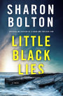 Little Black Lies: A Novel