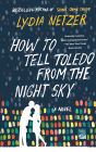How to Tell Toledo from the Night Sky: A Novel