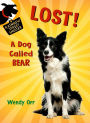 Lost! A Dog Called Bear (Rainbow Street Shelter Series #1)