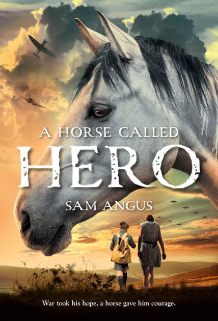 A Horse Called Hero By Sam Angus Paperback Barnes Noble