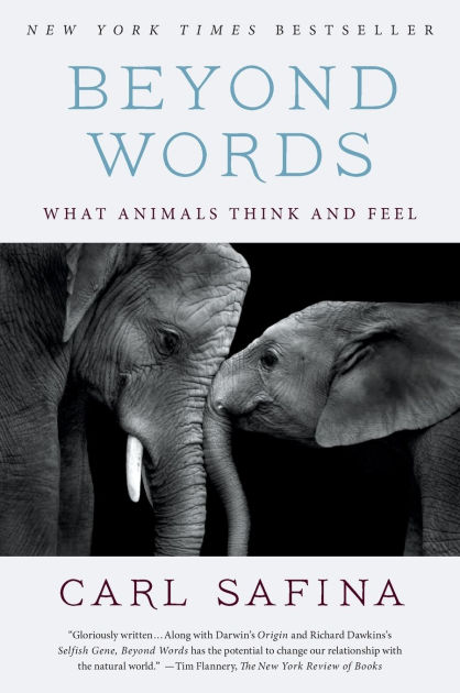 Beyond Words: What Animals Think and Feel by Carl Safina, Paperback | Barnes & Noble® Beyond Words: What Animals Think and Feel by Carl Safina, Paperback | Barnes & Noble®