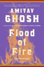 Flood of Fire: A Novel