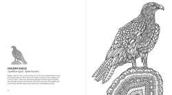 Alternative view 3 of Birds: A Mindful Coloring Book