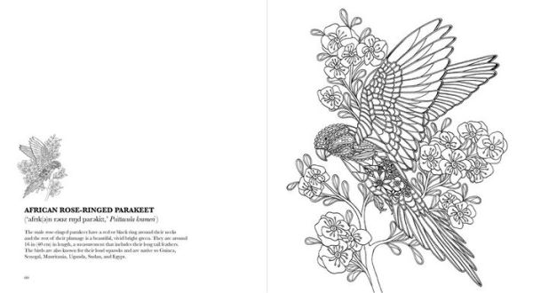 Birds: A Mindful Coloring Book