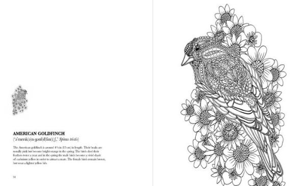Birds: A Mindful Coloring Book