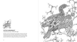 Alternative view 7 of Birds: A Mindful Coloring Book