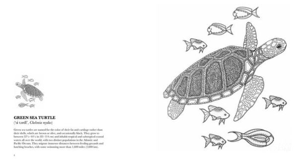 Waterlife: A Mindful Coloring Book