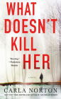 What Doesn't Kill Her: A Novel