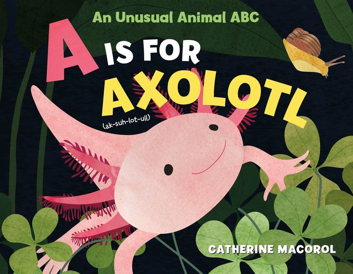 Axolotl Coloring Book for Kids Ages 4-8: Fun children's art book