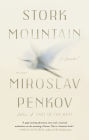 Stork Mountain: A Novel