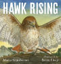 Hawk Rising