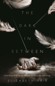 Title: The Dark In-Between, Author: Elizabeth Hrib