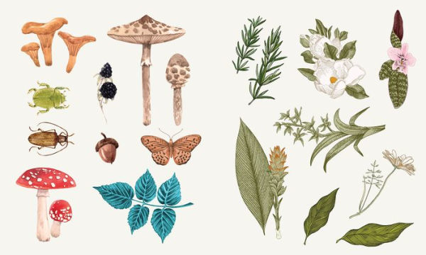 Sticker Studio: Apothecary: A Sticker Gallery for Modern Mystics