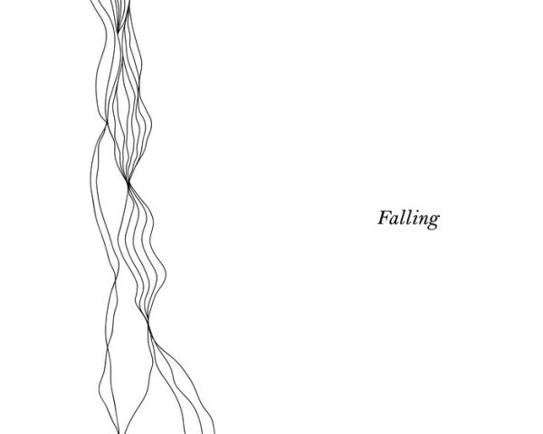 When I Fall: Poems