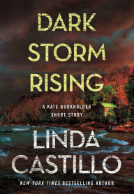 Dark Storm Rising: A Kate Burkholder Short Story