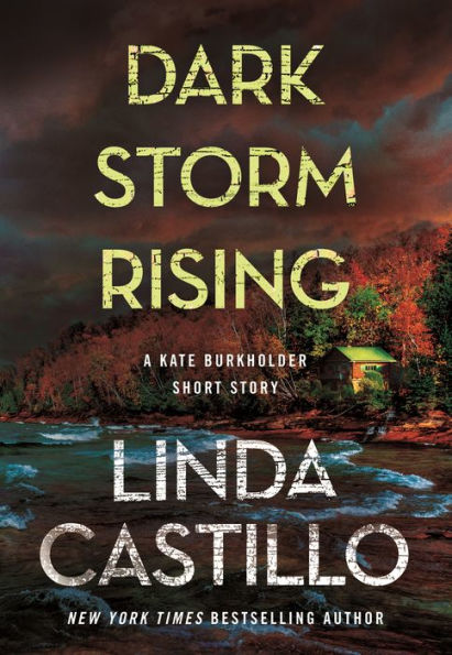 Dark Storm Rising: A Kate Burkholder Short Story