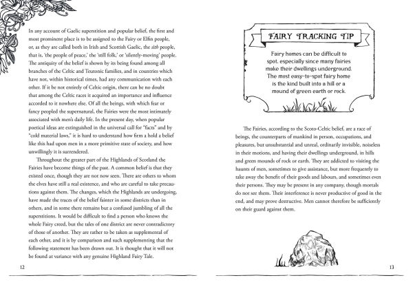 A Field Guide to Fairies and Magical Beings: Understanding, Finding, and Protecting Fae