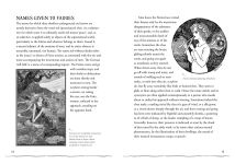 Alternative view 7 of A Field Guide to Fairies and Magical Beings: Understanding, Finding, and Protecting Fae