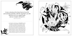 Alternative view 3 of Floriographic: World of Flowers: An Artist's Coloring Book of Botanical Wanderlust