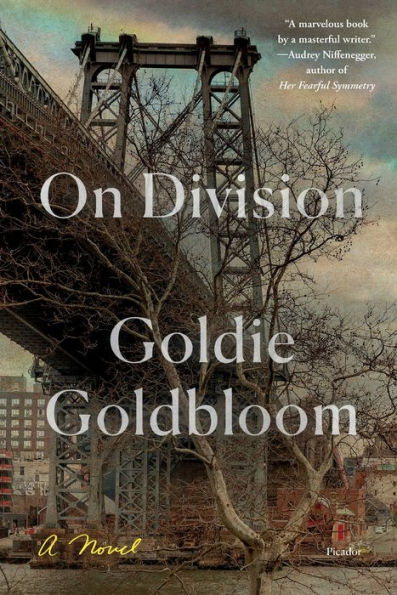 On Division: A Novel