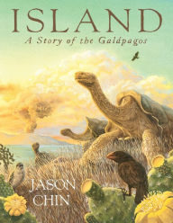 Title: Island: A Story of the Galápagos, Author: Jason Chin