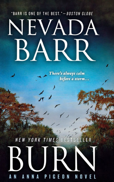 Burn (Anna Pigeon Series #16)