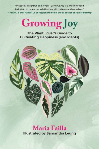 Indoor Plant Routine & Tips - Melissa Chanel
