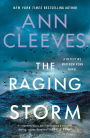 The Raging Storm (Detective Matthew Venn Novel #3)