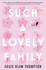 Title: Such a Lovely Family, Author: Aggie Blum Thompson