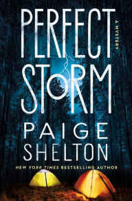 Title: Perfect Storm, Author: Paige Shelton
