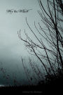 Why the Willow