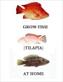 Grow Fish at Home : Tilapia