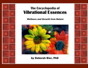 The Encyclopedia Of Vibrational Essences Wellness And Growth From Nature By Deborah Bier Phd Nook Book Ebook Barnes Noble