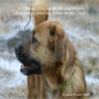 A Therapy Dog At Work and Play: Teaching Children About Body Clues